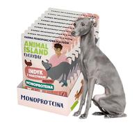 Animal Island Everyday Comida Húmeda Monoproteína para Perro Adulto Paté de Pavo con Verduras Bolsita Sin Cereales, 9 x 300g