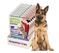 Animal Island Everyday Comida Húmeda Monoproteína para Perro Adulto Paté de Ternera con Manzana Arándano Rojo y Arándano Bolsita Sin Cereales, 9 x 300g