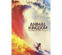 Animal Kingdom: The Complete Fourth Season (DVD) Ben Robson (Importación USA)