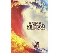 Animal Kingdom: The Complete Fourth Season [USA] [DVD]