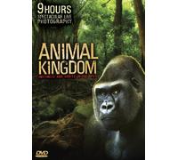 Animal Kingdom [USA] [DVD]