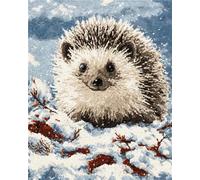 Animal Kit De Alfombra Anudada Erizo De Dibujos Animados Kit De Costura De Crochet，Kits Clásico De Alfombras Con Aguja De Pestillo Para Adultos，Set De Manualidades 3D Para Decoración De 23x35in