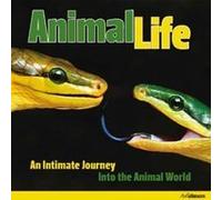 Animal Life: An Intimate Journey into the Animal World