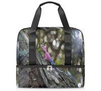 Animal Lizard - Bolsa deportiva para mujeres, hombres, niños y niñas, 21 L, para fin de semana, para viajes, gimnasio, yoga, color, Big, Organizador de bolsas
