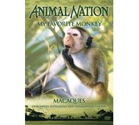 Animal Nation - My Favorite Monkey [Reino Unido] [DVD]