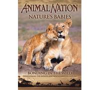 Animal Nation - Nature's Babies: Bonding in the Wild [Reino Unido] [DVD]