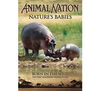 Animal Nation - Nature's Babies: Born in the Wild [Reino Unido] [DVD]
