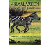 Animal Nation - Nature's Babies: Rearing Young in the Wild [Reino Unido] [DVD]