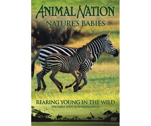 Animal Nation - Nature's Babies: Rearing Young in the Wild [Reino Unido] [DVD]