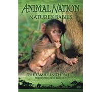 Animal Nation - Nature's Babies: the Family in the Wild [Reino Unido] [DVD]