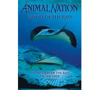 Animal Nation - Riddle Of The Rays [Reino Unido] [DVD]