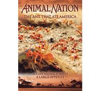 Animal Nation - The Ant That Ate America [Reino Unido] [DVD]