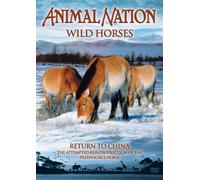 Animal Nation - Wild Horses - Return To China [Reino Unido] [DVD]