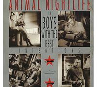 Animal Nightlife - Boys With The Best Intentions 7"