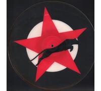 ANIMAL NIGHTLIFE - MR SOLITAIRE 12in SHAPED PIC DISC (20104)