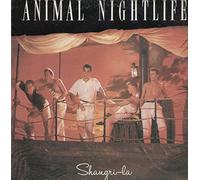 Animal Nightlife - Shangri-La