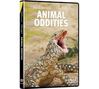 Animal Oddities - Ultimate Wildlife: Animal Oddities [USA] [DVD]
