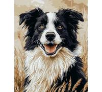 Animal Perro Diy Kit Alfombra Gancho De Pestillo Retrato De Un Border Collie Kits Para Hacer Alfombras Con Aguja De Pestillo Para Principiantes，Tapiz De Ganchillo Sin Terminar，Alfombr 60x90cm
