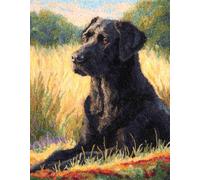 Animal Perro Kit de Alfombras con Gancho de Pestillo,Labrador retriever en la hierba,3D Latch Hook Manualidades Kits DIY Punto de Cruz Fabricación para Adultos Decoración del Hogar,80x160cm