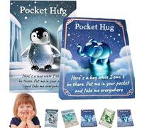 Animal Pocket Hug Gifts, Mini Resin Animal Hug Token, Emotional Support Turtle with Mini Pocket Hugs Greeting Cards, Cute Pockets Hugs for Christmas Anniversary Valentines Birthday (2pcsF)