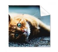 Animal Pure Blue Eye Cat fotografía gafas paño de limpieza paño móvil limpiador de pantalla 5 unidades regalo
