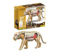 Animal Puzzles - Educational Realistic Tiger Shark Toy | 3D Animal