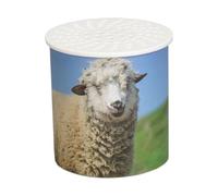 ANIMAL SOUND MAKER TOY SIMULATED SHEEP SOUND ILLUSION PRANK TOY FOR KIDS EDUCATIONAL TOOL