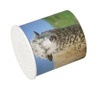 Animal Sound Makser - Sound Sosund Nsoise Masker Toy, Sonulate Sounds Sounds Noise Maker Toy - Fun Broma Noise Maker, Educational Cognitive Toys For Kids, Diverting Farm Animal Gift, Portable