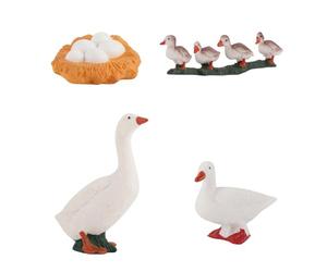 Animales Ciclo De Vida Juguetes - Decoración De Ciencias Educativas De La Escuela De Pato - Pato Ciclo De Vida Juguetes,para Patios Terrazas Céspedes Jardines Plantas en macetas Niñas Niños Niños