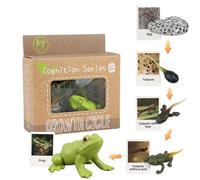 Animales del Ciclo de Vida - Kit Juguetes educativos | Aprendizaje Crecimiento Animal Establecido para niños, Modelo biológico Realista Ciencias la educación en el hogar, ayudas