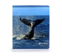 Animales del mar grande (LIBROS DE FOTOGRAFIA)
