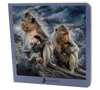 Animales en Familia 2 (Mis Primeras Imágenes)