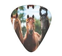 Animales Horses Juego de púas de guitarra de 12 piezas para guitarra acústica, guitarra eléctrica, contrabajo y ukelele
