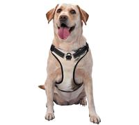 Animales Inteligentes Mapache Naturaleza,Arnés para Mascotas, arnés Reflectante Ajustable para Perros,S
