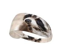 Animales Inteligentes Mapache Naturaleza,Banda Deportiva para el Sudor Unisex, Multiusos, elástica para el Pelo