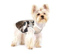 Animales Inteligentes Mapache Naturaleza,Camiseta de algodón sin Mangas para Mascotas, Chaleco Transpirable, Suave y elástico para Cachorros,S
