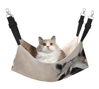 Animales Inteligentes Mapache Naturaleza,Hamaca Colgante para Gatos, Suave, de Doble Cara, para Perros pequeños y Mascotas.,M