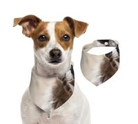 Animales Inteligentes Mapache Naturaleza,Pañuelos de algodón para Perros, Bufandas Ajustables para Mascotas,L