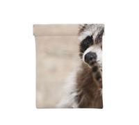 Animales Inteligentes Mapache Naturaleza, Squeeze Top Wallet Bolsa de Almacenamiento para Mujer Monedero pequeño Bolsa de Cambio