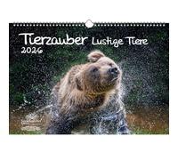 Animales mágicos divertidos animales calendario DIN A3 para 2026 Momentos divertidos con animales - Seelenzauber