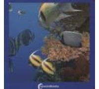 Animales Marinos (ed. Carton)