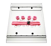 Animales Pareja Placer Pack Juegôs Ofertas Šêx toystore women Erótītīcī Šêsso per Coppia Bǒǹdâgê Kît pareja ȅsposas Šêxuales de parejas àdultos Set G11S8ll