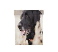 Animales Perro Labrador, Squeeze Top Wallet Bolsa de Almacenamiento para Mujer Monedero pequeño Bolsa de Cambio