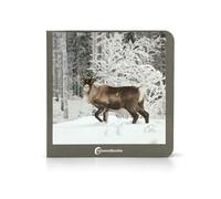 Animales polares (LIBROS DE FOTOGRAFIA)