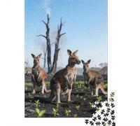 Animales Puzzle 1000 Piezas Cartón Puzzle Grande Adulto Relajarse Canguro Educa Rompecabezas Familiar 38x26cm/1000pcs