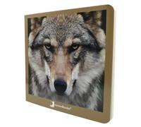 ANIMALES SALVAJES 2, LOS (LIBROS DE FOTOGRAFIA)