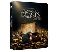 Animali Fantastici e Dove Trovarli (Steelbook - Esclusiva Amazon) [Italia] [Blu-ray]