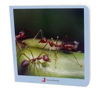 Animalitos: 7 (Mis Primeras Imágenes)