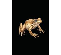 ANIMALS AFRICAN CLAWED FROG