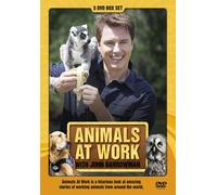 Animals At Work With John Barrowman [DVD] [2010] [Reino Unido]
